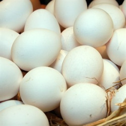 Huevos frescos blancos XL  70-75  g. (6 huevos)