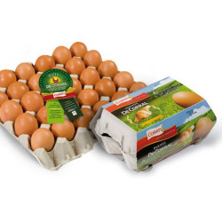 Huevos camperos Coren (6 huevos)